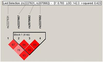 The fatal contribution of serine protease-related genetic variants to COVID-19 outcomes